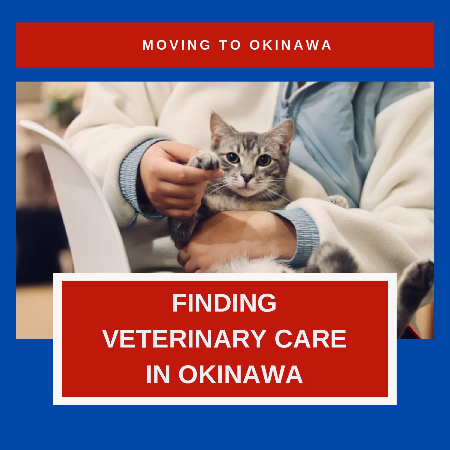 A Comprehensive List of Veterinary Care in Okinawa