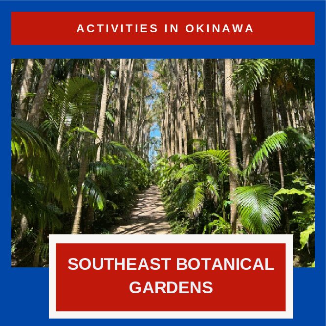 The Beautiful Southeast Botanical Gardens in Okinawa City