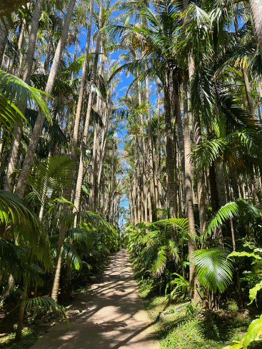 Southeast Botanical Gardens