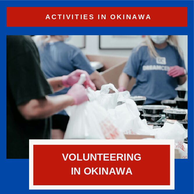 Volunteering in Okinawa: Finding New Opportunities and Building Your Community