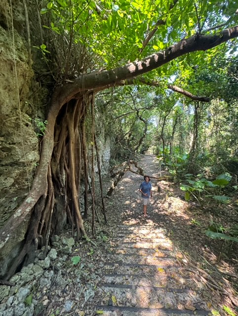 Hiking spots in okinawa