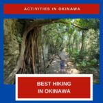 hiking spots in okinawa