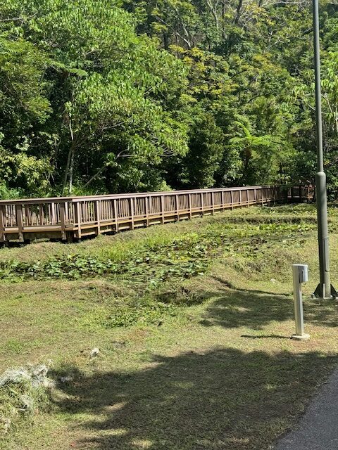 Hiking spots in Okinawa