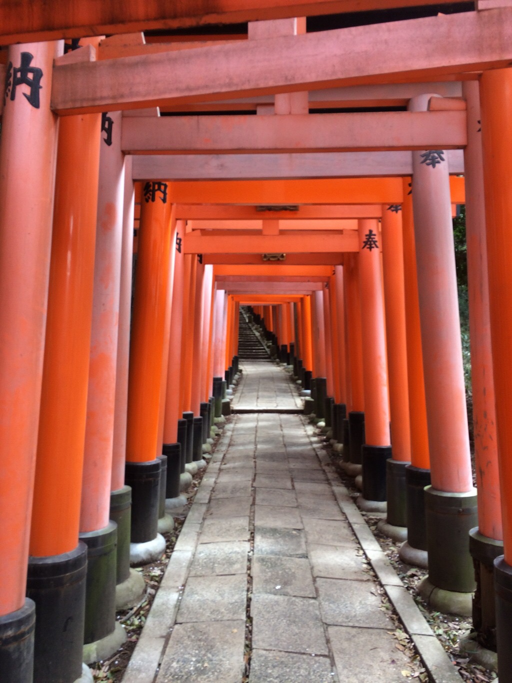 Traveling to Kyoto | A walkway in Kyoto perfect for social media pictures